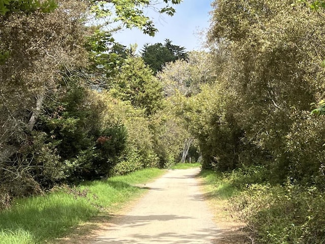 view of road