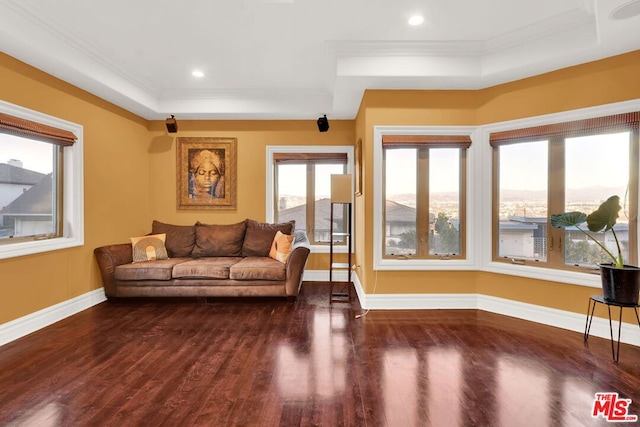 living room featuring dark hardwood / wood-style floors, a tray ceiling, and ornamental molding