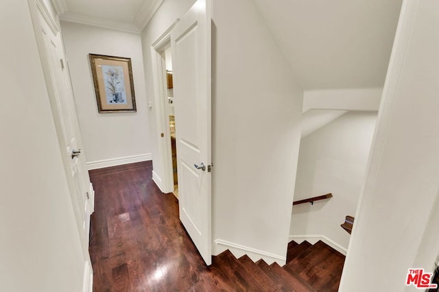 hall with dark hardwood / wood-style flooring and crown molding