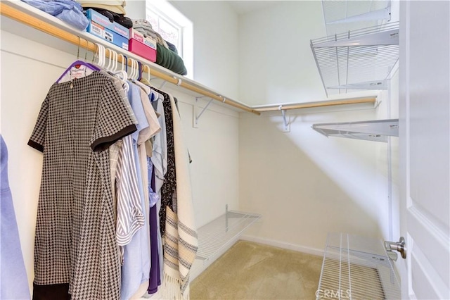 spacious closet featuring light carpet