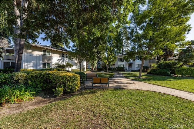 view of property's community with a yard