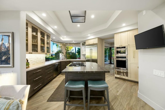 kitchen featuring a raised ceiling, decorative backsplash, stainless steel appliances, and a kitchen island