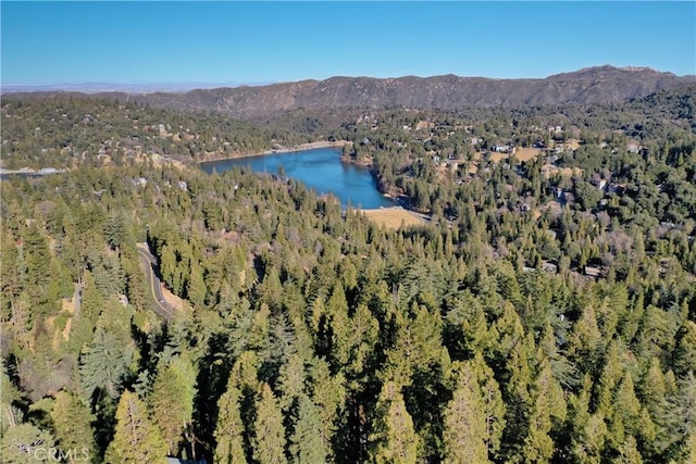 birds eye view of property featuring a water and mountain view