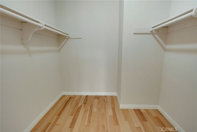 walk in closet featuring hardwood / wood-style flooring