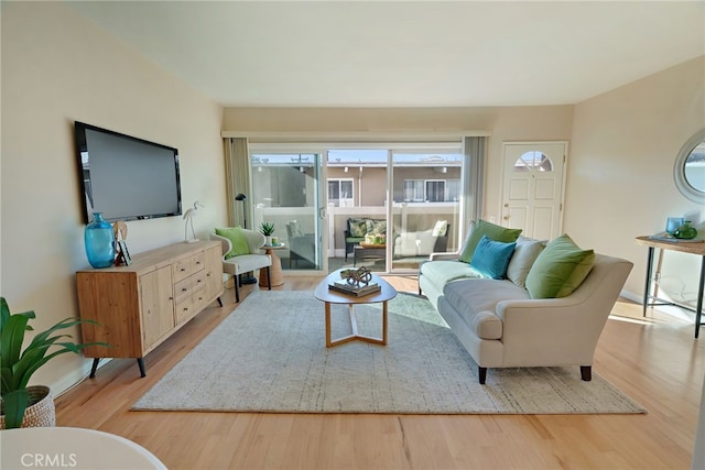 living room featuring light wood-type flooring