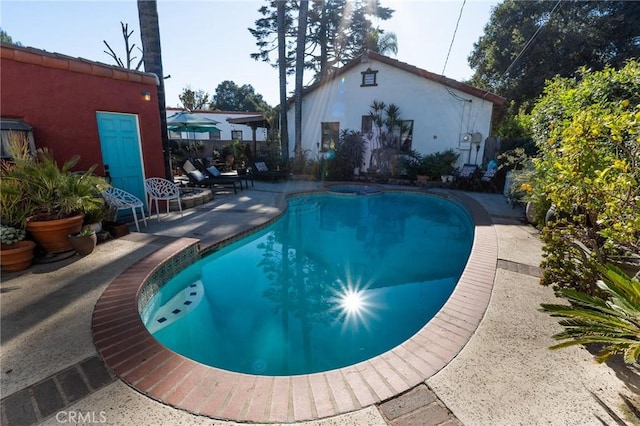 view of swimming pool with a patio