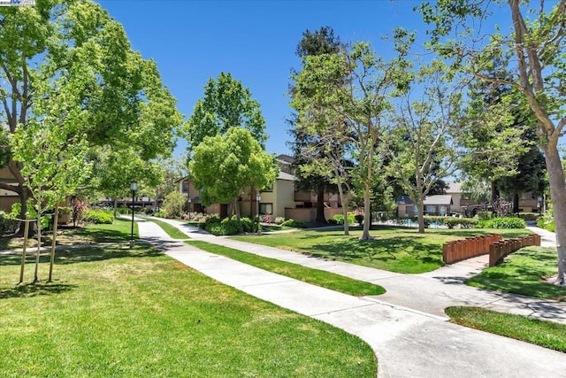 view of community featuring a yard