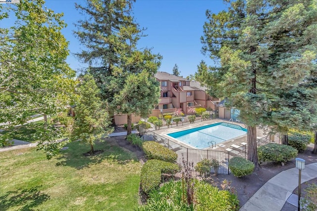 view of swimming pool with a yard