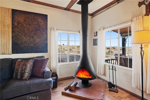 interior space with a wealth of natural light, a wood stove, and hardwood / wood-style floors