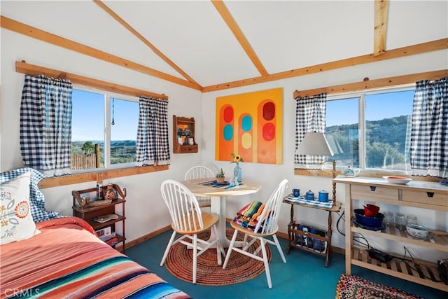 dining space featuring vaulted ceiling