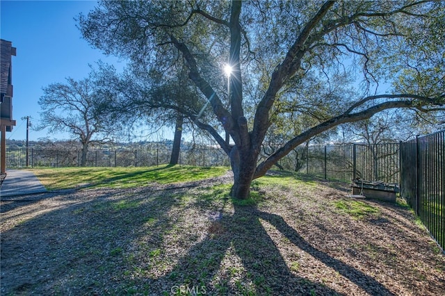 42893 Long Hollow Dr, Coarsegold, CA 93614 - view of yard