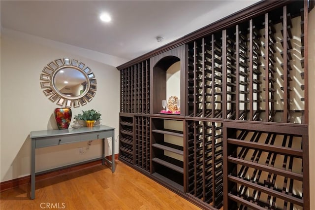 wine area featuring wood-type flooring