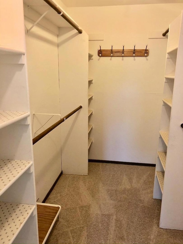 walk in closet featuring carpet floors