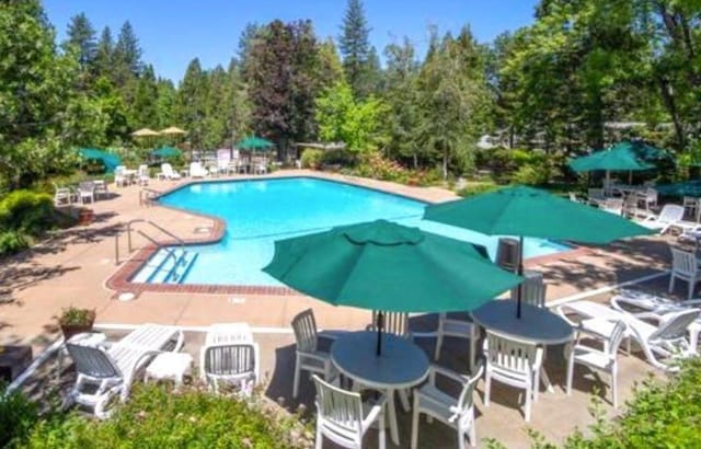 view of swimming pool with a patio