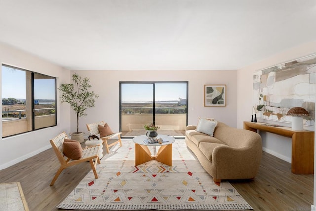 living room featuring plenty of natural light and hardwood / wood-style flooring