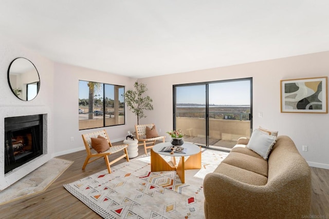 living room with light hardwood / wood-style floors and plenty of natural light