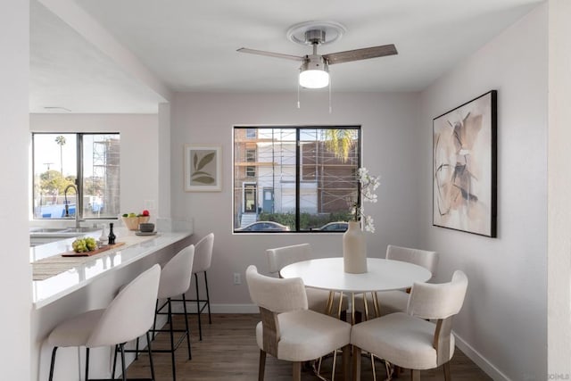 dining area with ceiling fan, hardwood / wood-style flooring, and sink