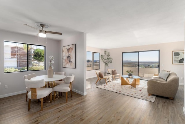 dining space with ceiling fan, hardwood / wood-style floors, and a wealth of natural light