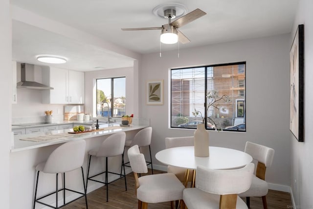 dining space featuring dark wood-type flooring, sink, and ceiling fan