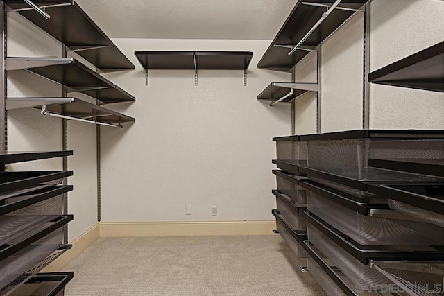 spacious closet with light carpet