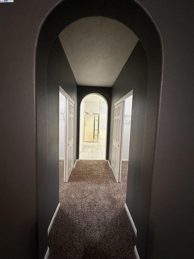 hallway featuring a textured ceiling and carpet flooring