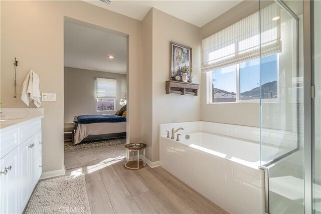 bathroom with separate shower and tub and vanity