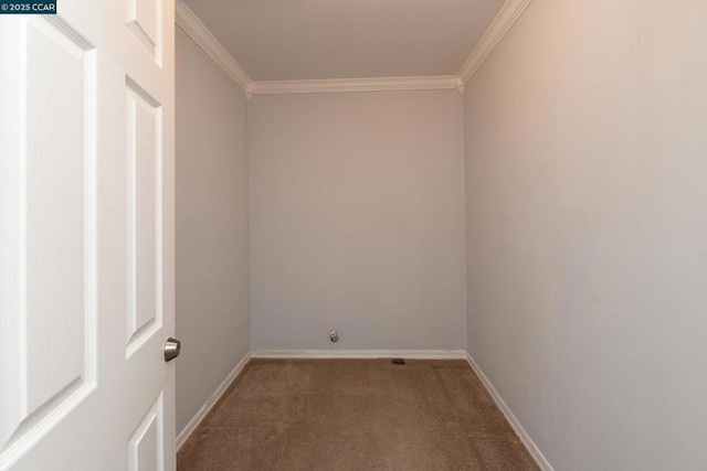 carpeted spare room with ornamental molding