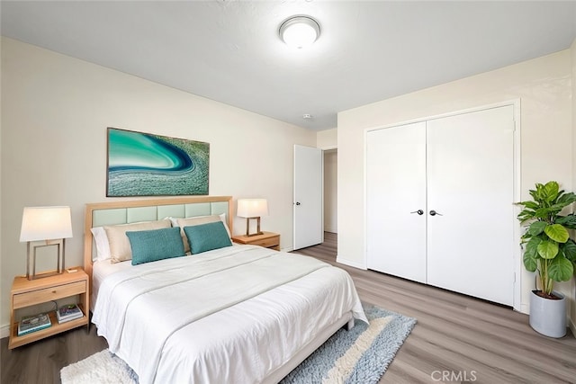 bedroom featuring wood-type flooring and a closet