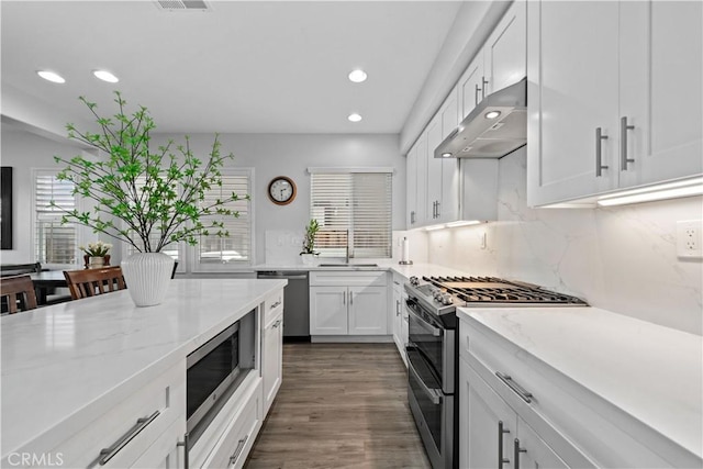 kitchen with dark wood-type flooring, sink, white cabinetry, light stone counters, and stainless steel appliances