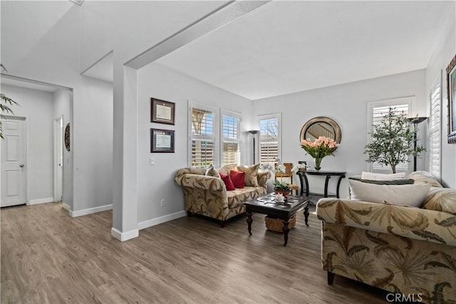 living room featuring hardwood / wood-style floors