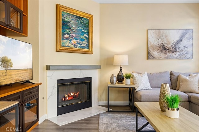 living room featuring dark hardwood / wood-style floors and a premium fireplace