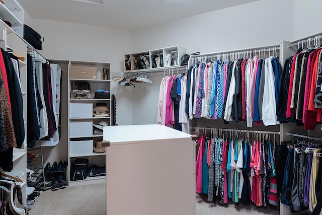 spacious closet with light carpet