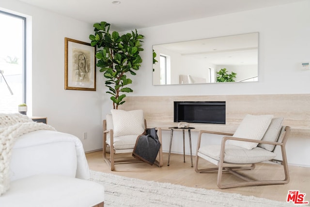 sitting room featuring light wood-type flooring and a wealth of natural light