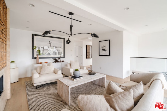 living room featuring a fireplace and light hardwood / wood-style floors