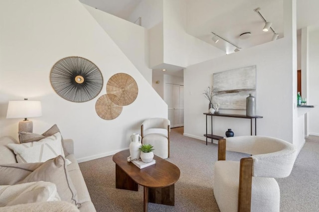 carpeted living room with rail lighting