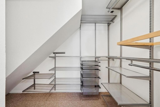 spacious closet featuring carpet floors