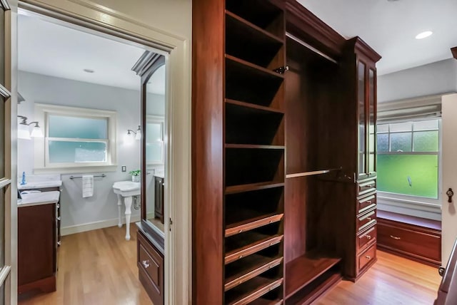 closet with sink