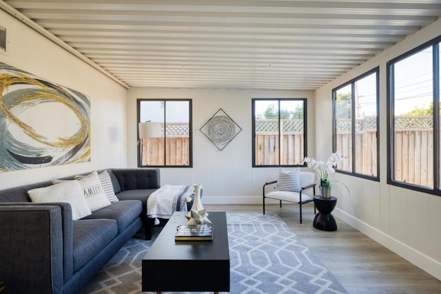 living room featuring wood-type flooring