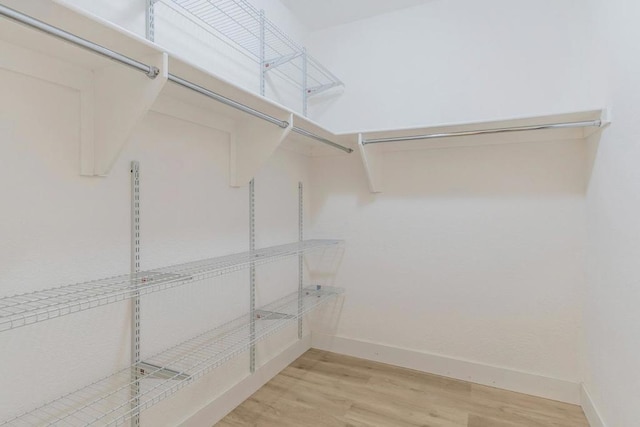 walk in closet featuring wood-type flooring