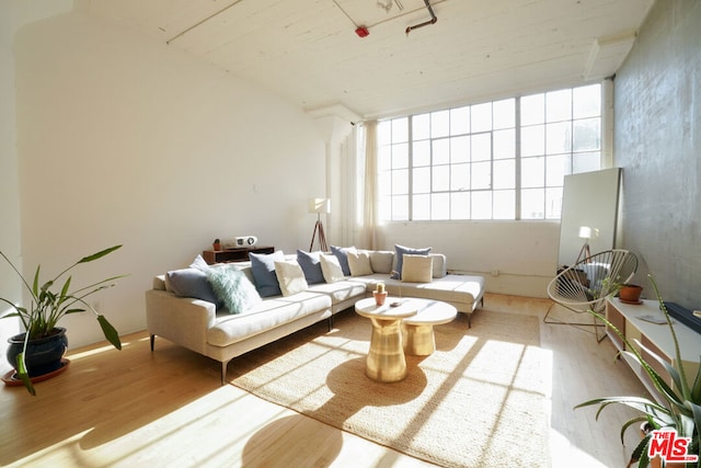 living room with light hardwood / wood-style flooring