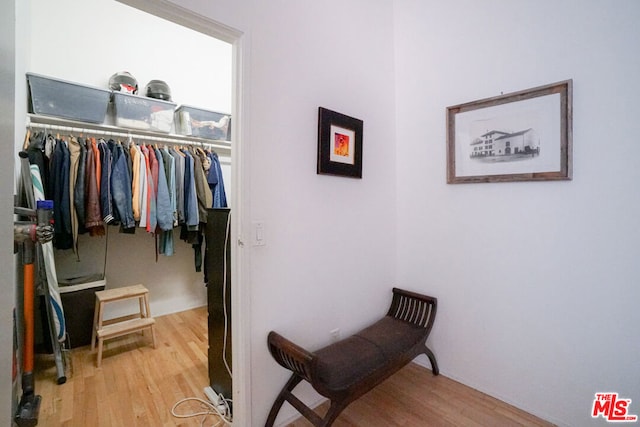 walk in closet with light wood-type flooring