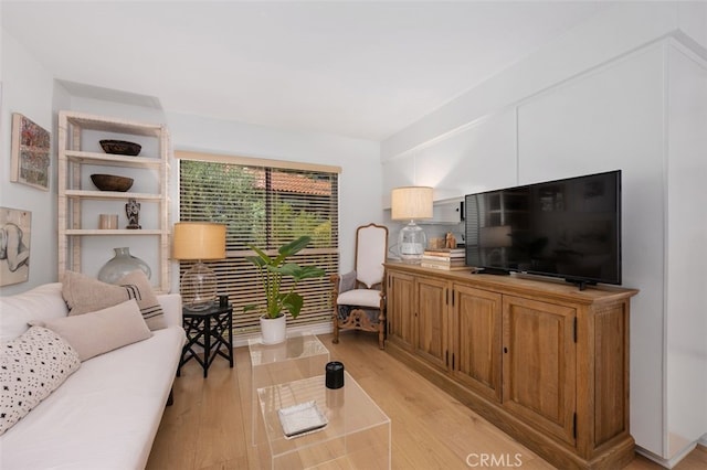 living room with light wood-type flooring