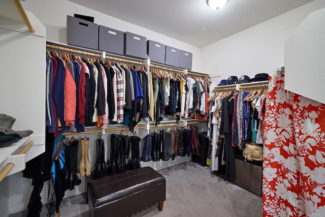 walk in closet with light colored carpet