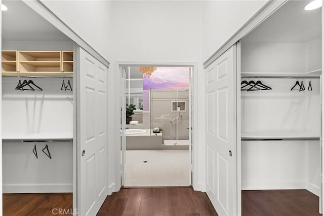 interior space featuring dark wood-style flooring