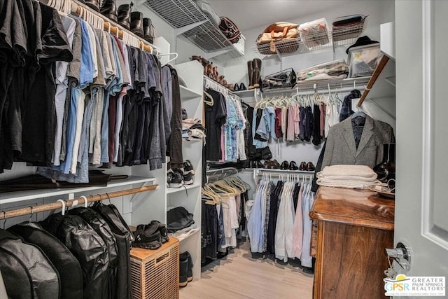 walk in closet with light wood-type flooring