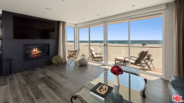 interior space featuring plenty of natural light, hardwood / wood-style floors, a water view, and a beach view