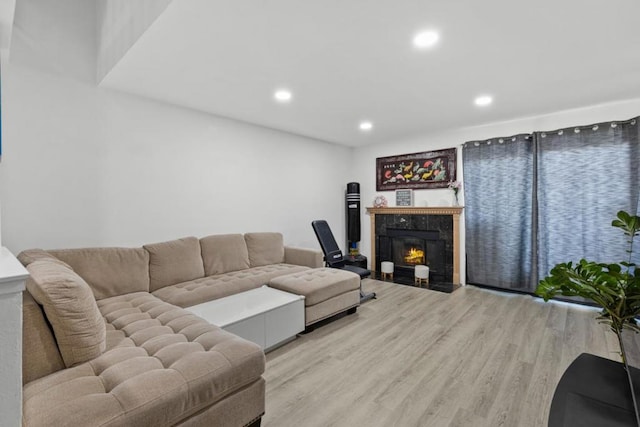 living room with a premium fireplace and light hardwood / wood-style flooring