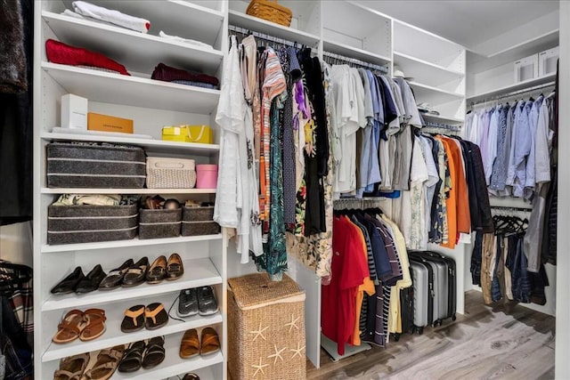 walk in closet featuring hardwood / wood-style flooring