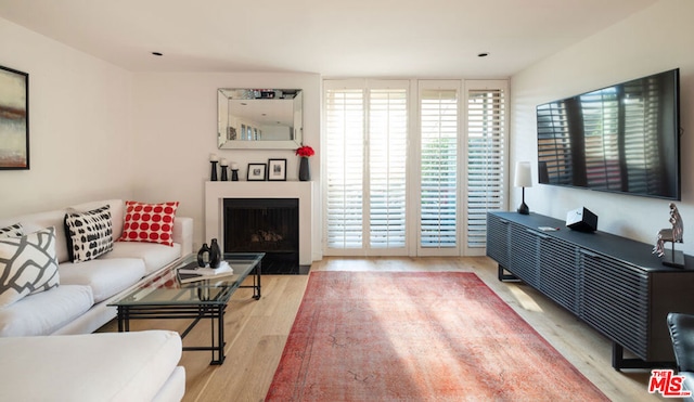 living room with hardwood / wood-style floors