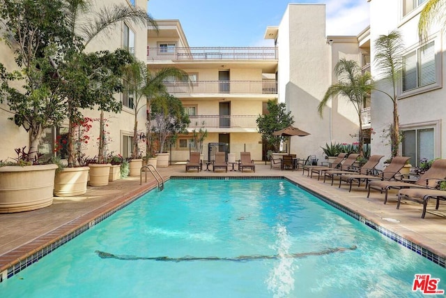 view of pool with a patio area